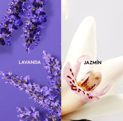Shampoo Relajante Agú Lavanda y Jazmín